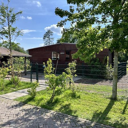 Vrijstaand Chalet Met Veel Buitenruimte En Veranda Zuid-Scharwoude Eksteriør billede